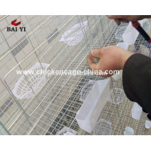 pigeon quail battery cage with auto water system
